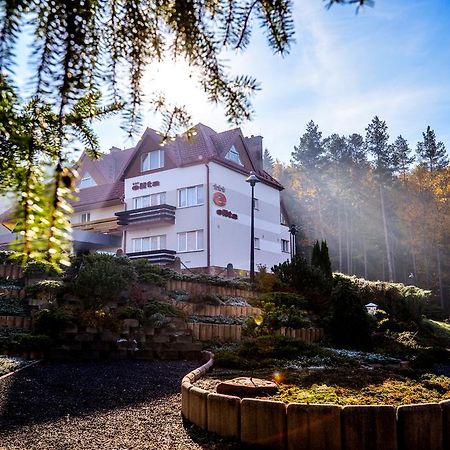 Elita Hotel & Restauracja Iwonicz-Zdrój 外观 照片